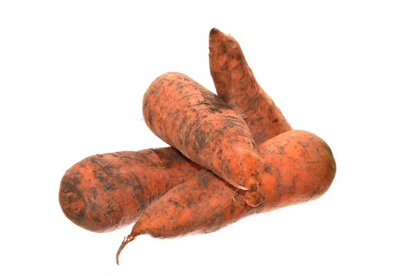 Морква Ізольована Білому Тлі — стокове фото