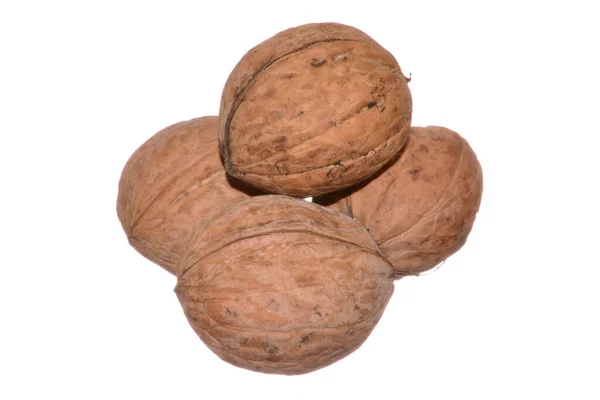 Walnut Isolated White Background — Stock Photo, Image