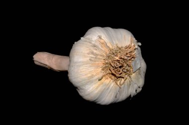 Sarımsak siyah arka planda izole edilmiş