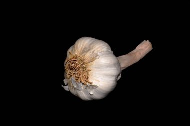 Sarımsak siyah arka planda izole edilmiş