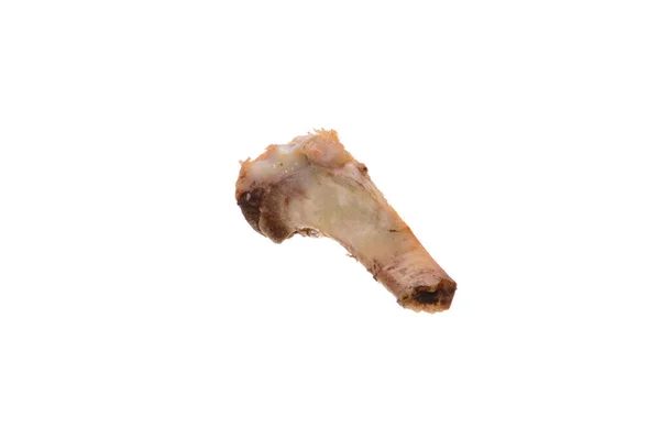 Pork Bone Isolated White Background Close — Stock Photo, Image