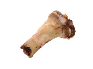 Beyaz arka planda izole edilmiş domuz kemiği - yakın plan