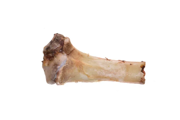 Свиняча Кістка Ізольована Білому Тлі Крупним Планом — стокове фото