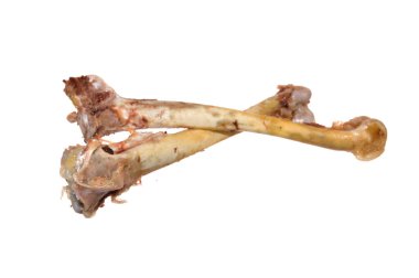 Kemikler beyaz arkaplanda izole