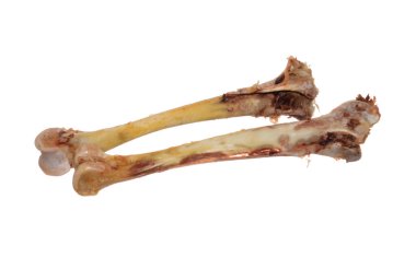 Kemikler beyaz arkaplanda izole