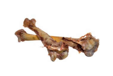 Kemikler beyaz arkaplanda izole