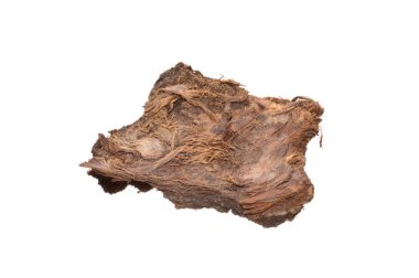 Beyaz arkaplanda ağaç kabuğu izole