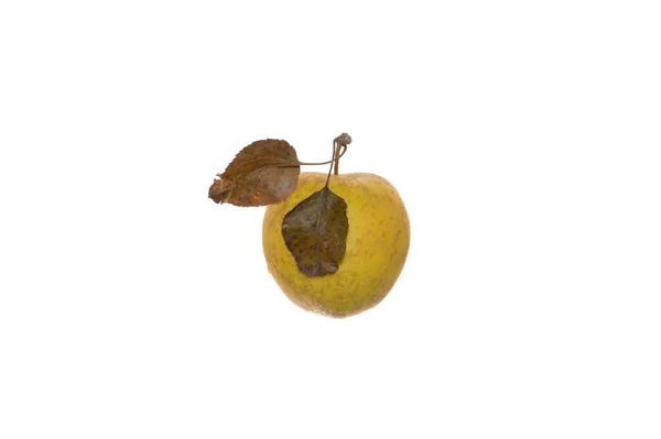Яблоко Изолированы Белом Фоне — стоковое фото