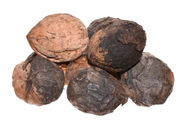 beyaz arkaplanda izole edilmiş ceviz