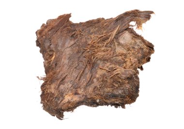 Beyaz arkaplanda ağaç kabuğu izole