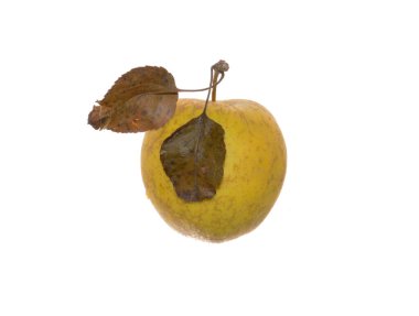 elma beyaz arkaplanda izole edildi