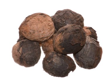 beyaz arkaplanda izole edilmiş ceviz