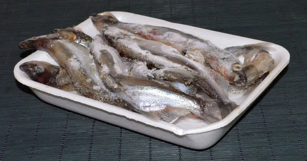 Obehandlad Fisk Isolerad Vit Bakgrund — Stockfoto