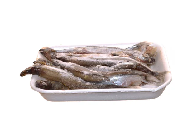 Сира Риба Ізольована Білому Тлі — стокове фото
