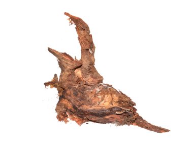 beyaz arkaplanda tahtadan düğüm izole edildi