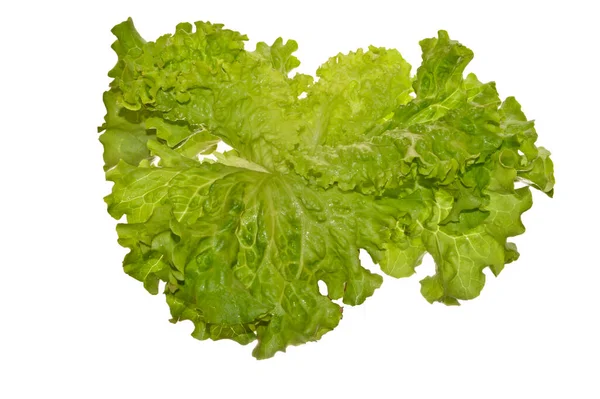 Groene Salade Geïsoleerd Witte Achtergrond — Stockfoto