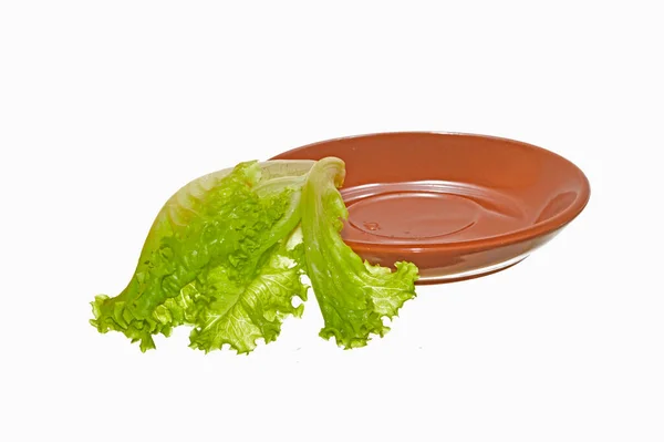 Zöld Saláta Elszigetelt Fehér Háttér — Stock Fotó
