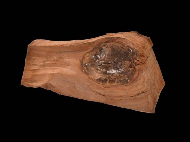 Beyaz arkaplanda yakacak odun