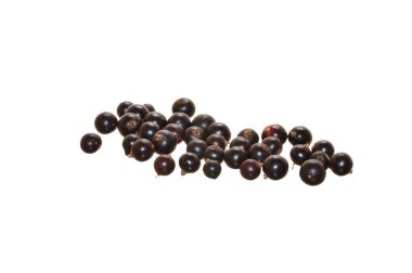 yaz meyveleri beyaz arka planda izole