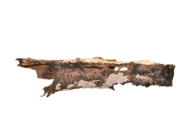 Кора Дерева Изолированы Белом Фоне — стоковое фото