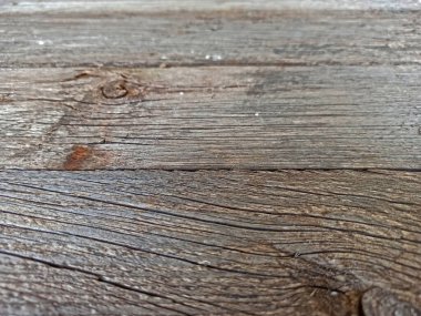 Eski ağaç arkaplan olarak alınır - yakın plan