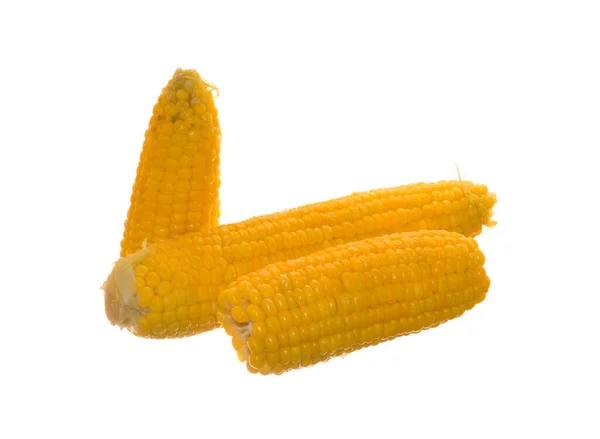 Kukorica Izolált Fehér Alapon — Stock Fotó