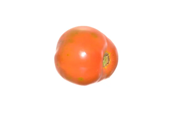 Tomate Aislado Sobre Fondo Blanco — Foto de Stock