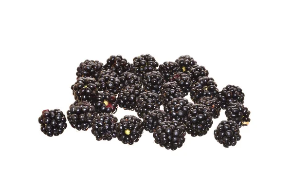 Mulberry Izolované Bílém Pozadí — Stock fotografie