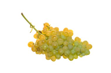 Beyaz arkaplanda izole edilmiş üzümler