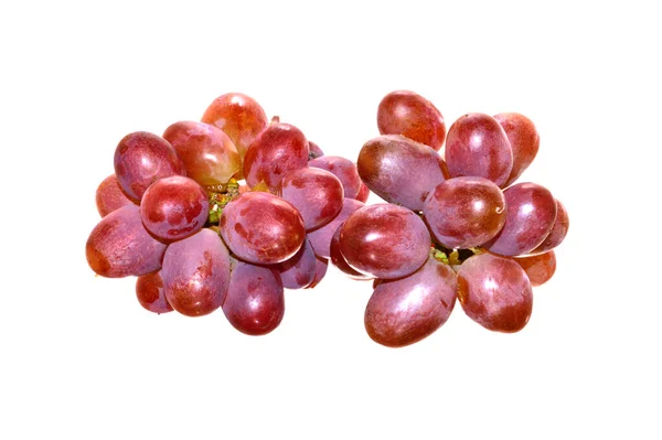 Grapes Isolated White Background — Stock Photo, Image