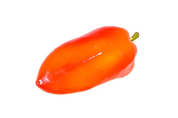 Bell Pepper Isoleret Hvid Baggrund - Stock-foto