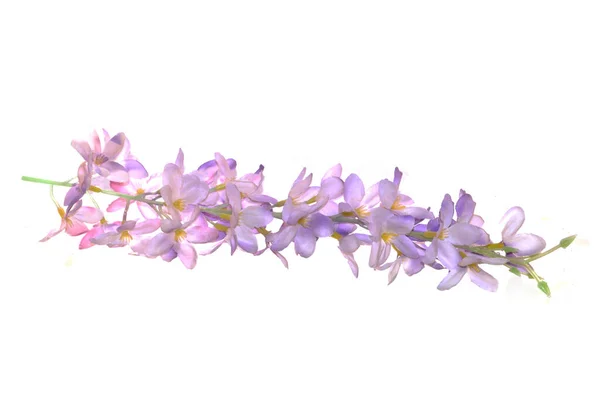 Umělé Květiny Izolované Bílém Pozadí — Stock fotografie
