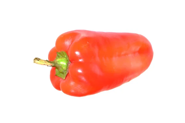 Paprika Isoliert Auf Weißem Hintergrund — Stockfoto