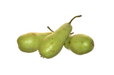 armut beyaz arkaplanda izole edildi