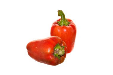 dolma biber beyaz arkaplanda izole edildi