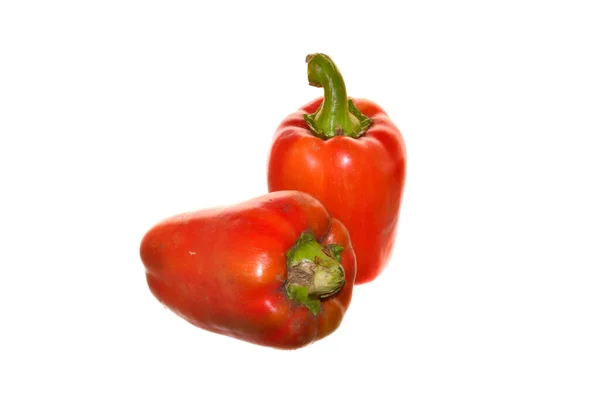 Paprika Isoliert Auf Weißem Hintergrund — Stockfoto