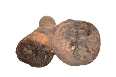 Beyaz arkaplanda izole edilmiş patates