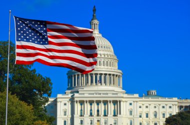 USA Flag and Capitol Building clipart