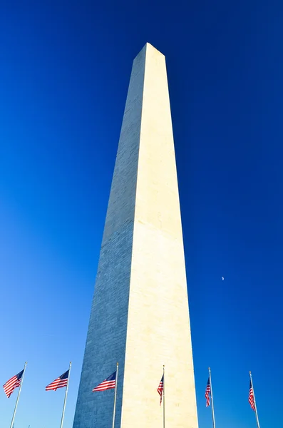 Monumento de Washington e bandeiras dos EUA — Fotografia de Stock