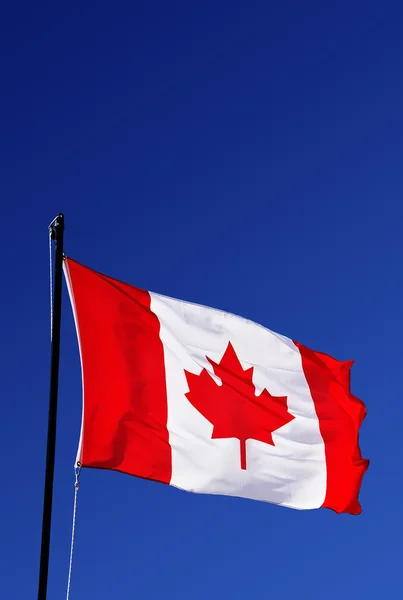 Bandeira do Canadá — Fotografia de Stock