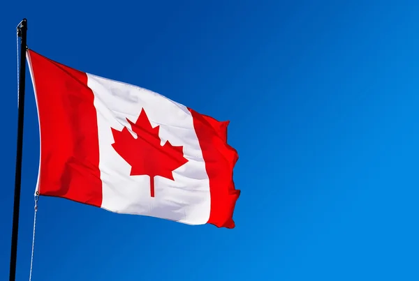 Canada flag — Stock Photo, Image