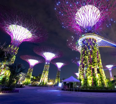supertree Grove Gardens gece görünümü