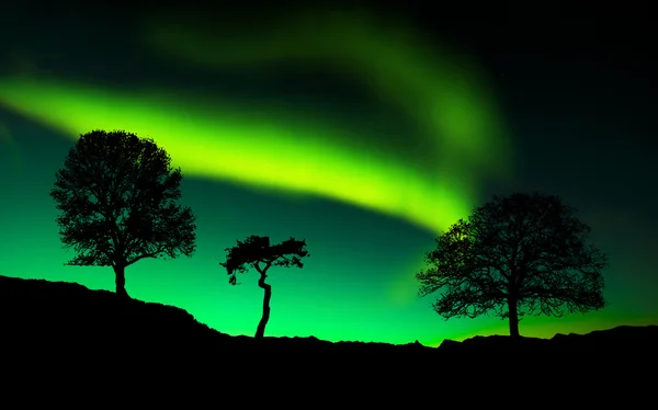 Erstaunliche Nordlichter — Stockfoto
