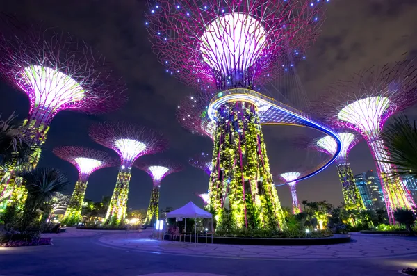 Vista noturna de Supertree Grove em jardins — Fotografia de Stock