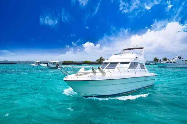 Luxury yatch di laut yang indah Stok Foto Bebas Royalti