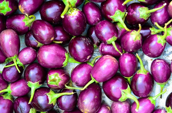 Čerstvé brinjal — Stock fotografie