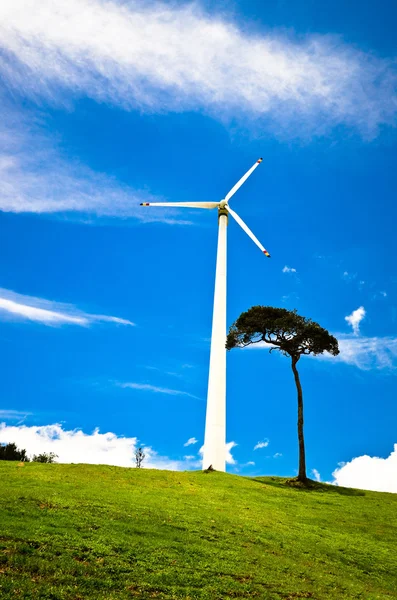 Windturbines in weide — Stockfoto