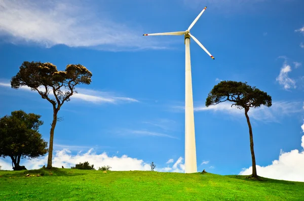 Windturbines in weide — Stockfoto