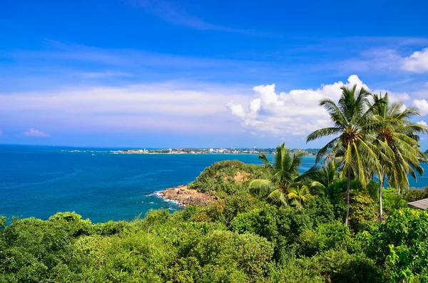 Palm trees and beach landscape — Stock Photo, Image