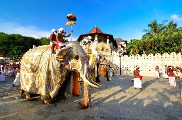 Festival Pera Hera à Kandy — Photo